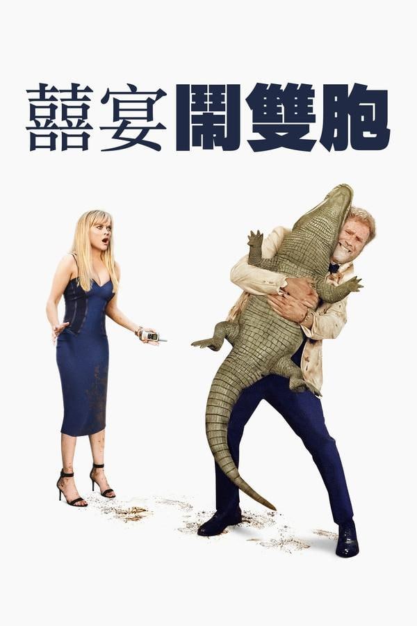 资源预览图