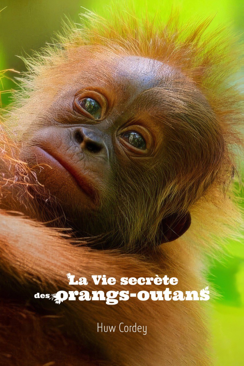 资源预览图